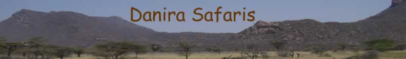 Danira Safaris